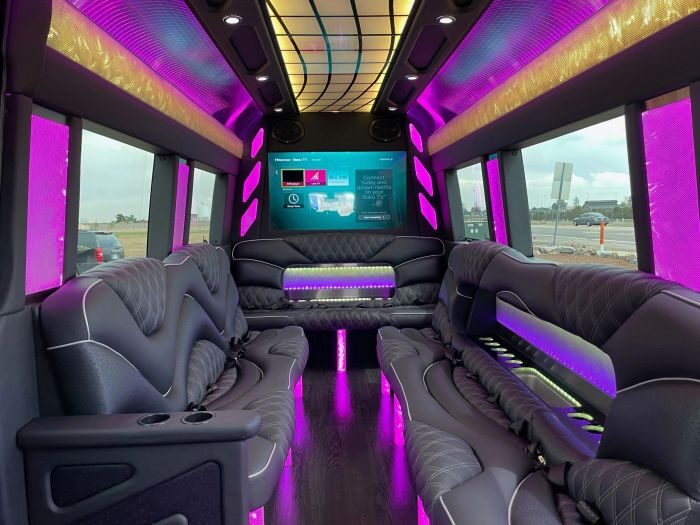 Sprinter limo lounge with TV – Cheyenne limo service