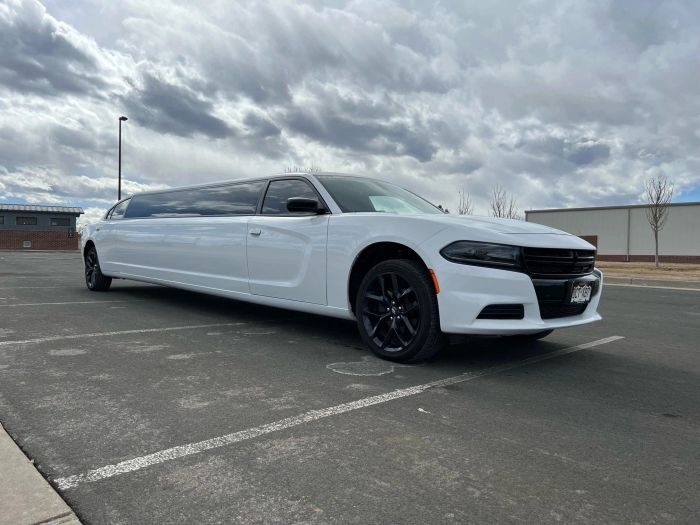 White stretch limo – Cheyenne limo service